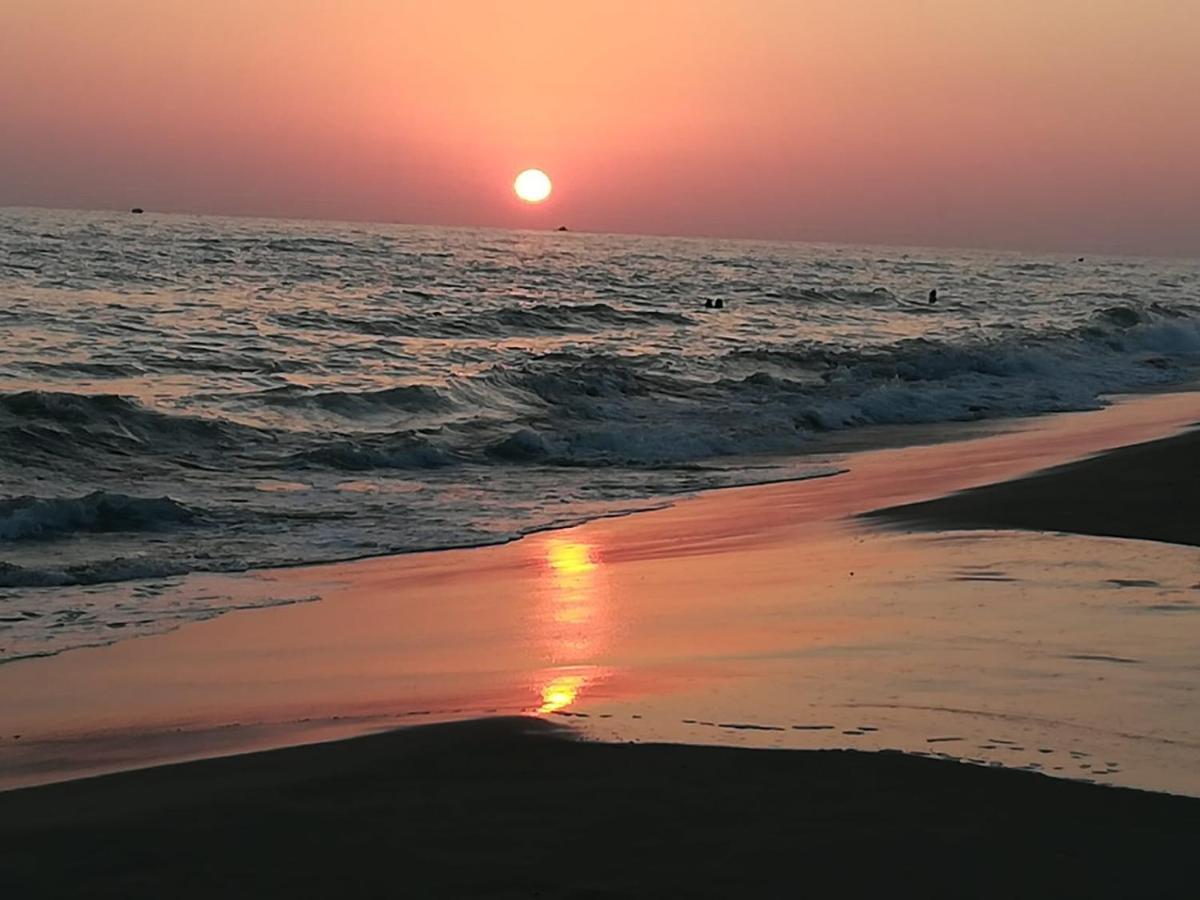 Appartamento Via Dei Fabbri Navali Lido di Ostia Exteriör bild