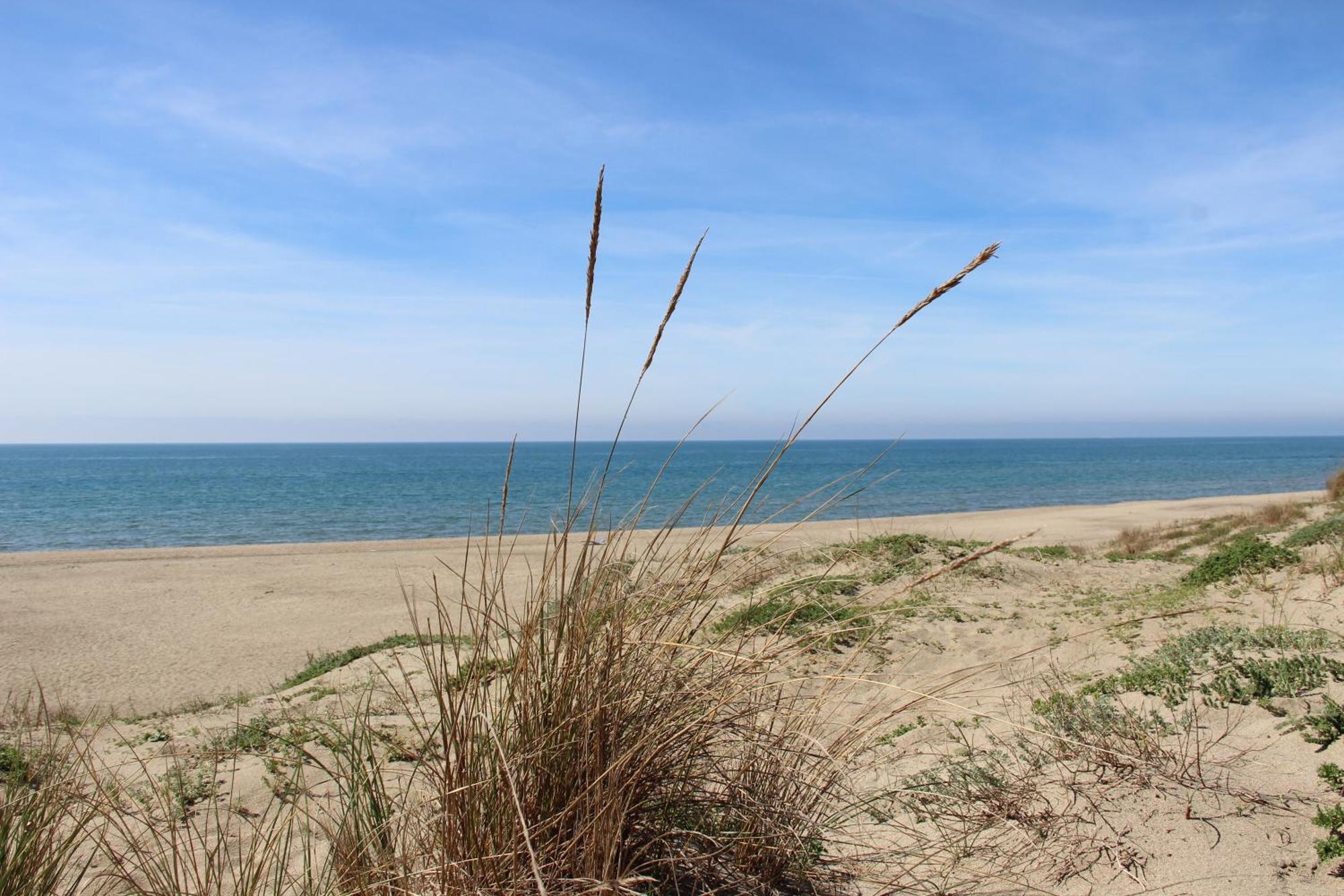Appartamento Via Dei Fabbri Navali Lido di Ostia Exteriör bild